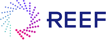 REEF Technology, Inc.