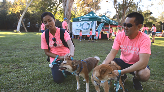 Pasadena Humane Society’s Wiggle Waggle Walk